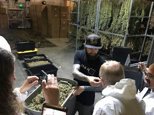 San Francisco concierges on a weed tour, smelling buds in a drying room