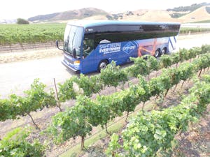 A Gray Line tour bus in a vineyard