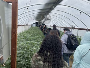 A group of tourists in a cannabis greenhouse on a weed tour