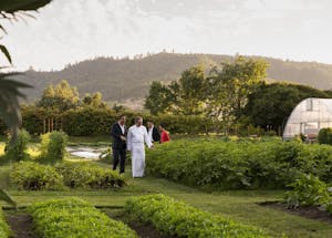 a group of people standing in the garden at The French Laundry