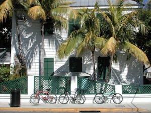 a bicycle is parked next to a palm tree
