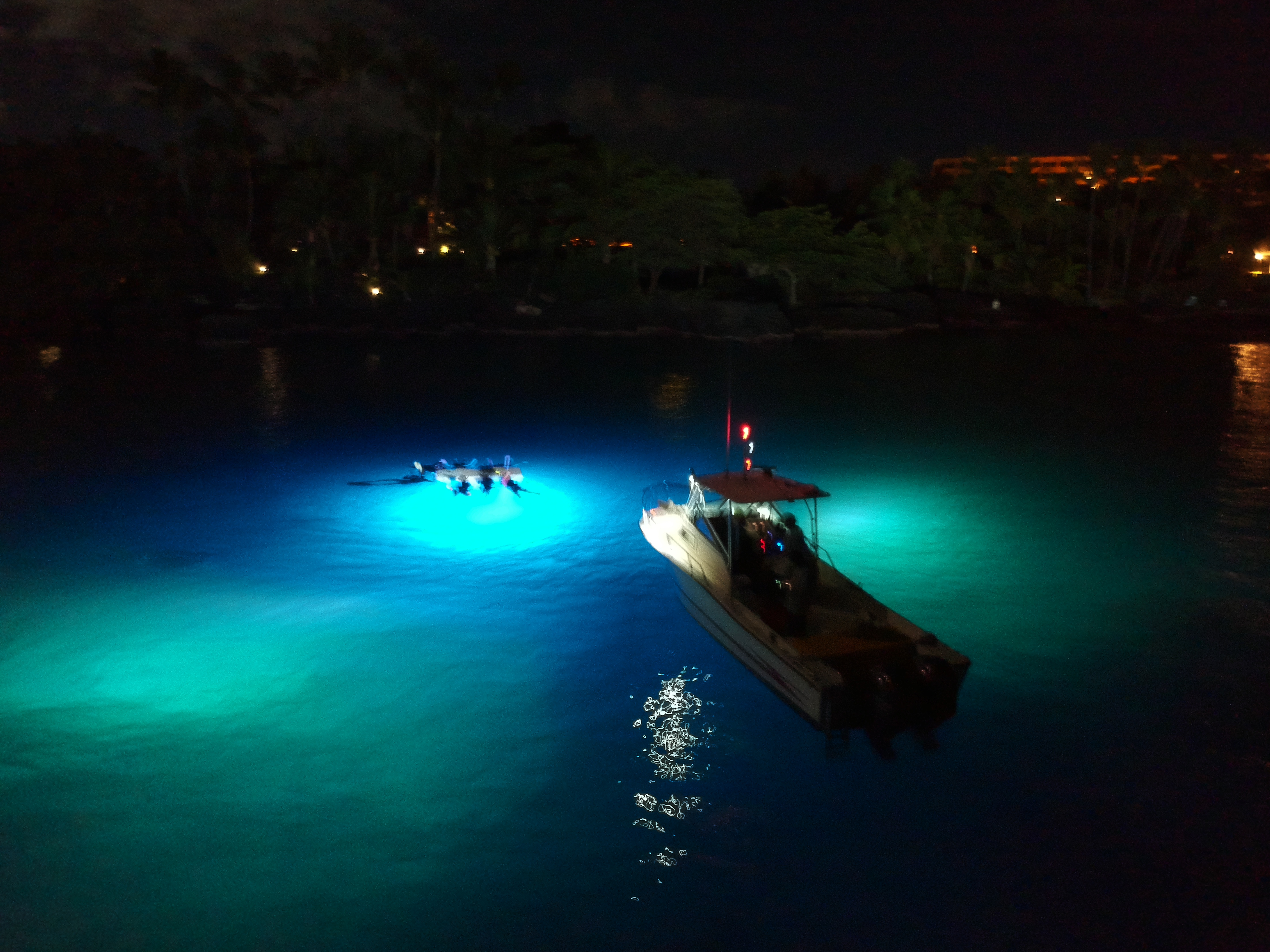 kona hawaii manta ray night snorkel tripadvisor