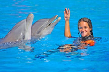 Woman in a pool with two dolphins