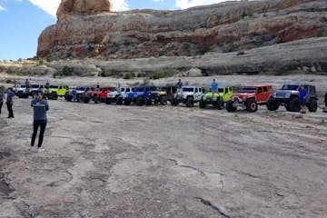 12 jeeps lined up ina row