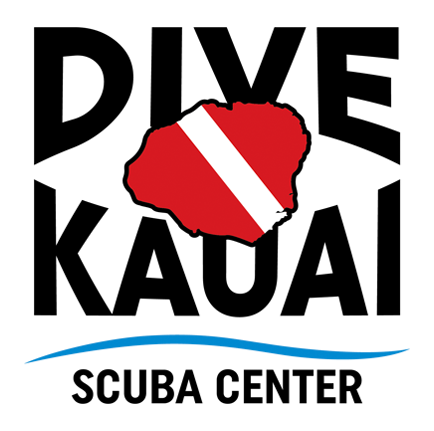 Premium Vector | Scuba diving sport logo under water vector illustrator  silhouette logo design