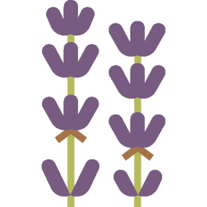 lavender icon