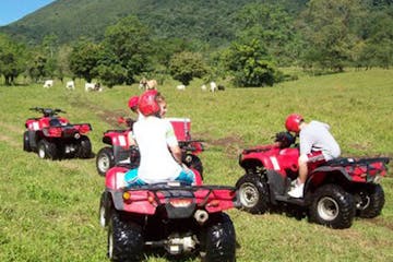 people riding ATVs in a lush green landscape