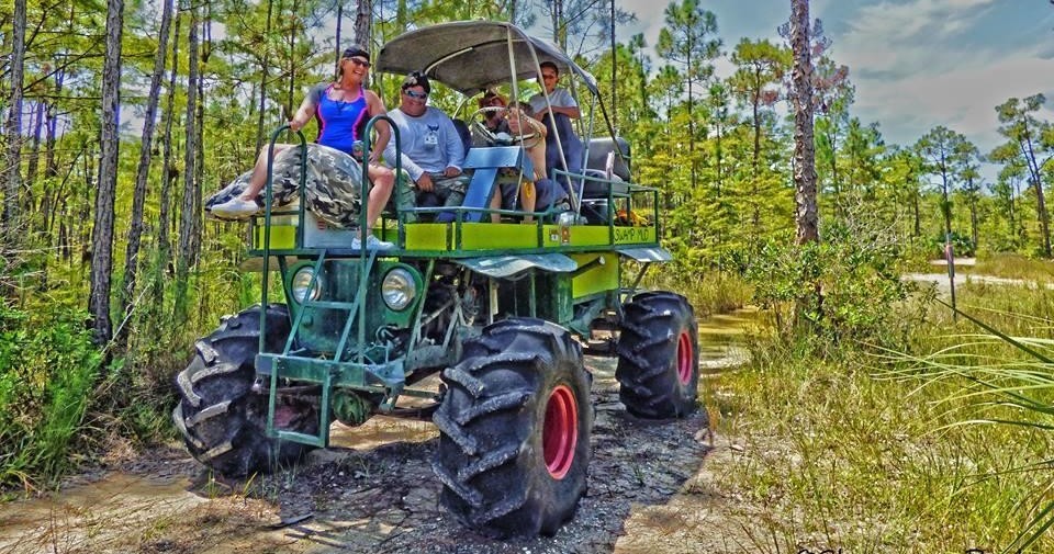 swamp buggy tours