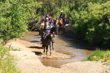 Horseback ride through the trail