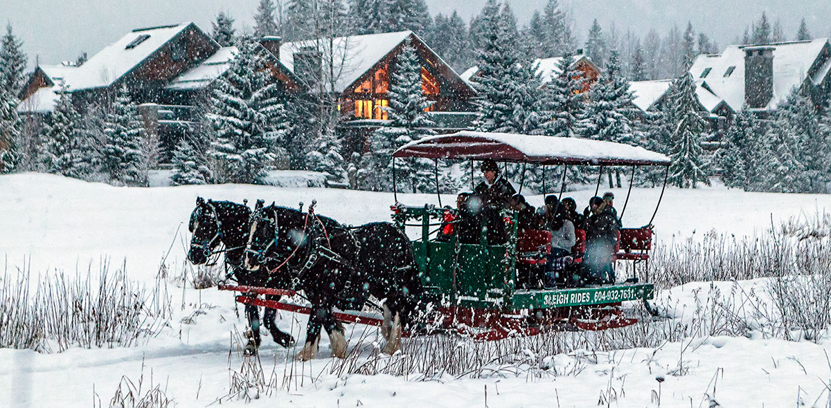 horse team pulling a sleigh in snow