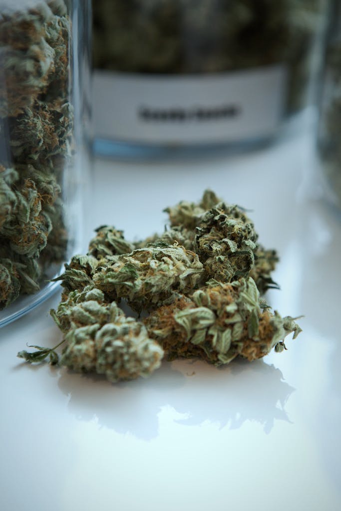 a close up of a cannabis flower and jars
