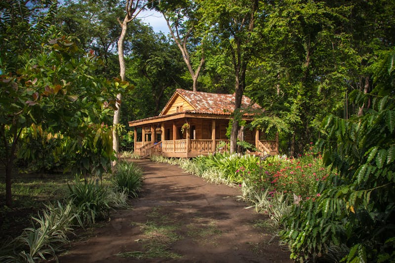 A cabin in the park