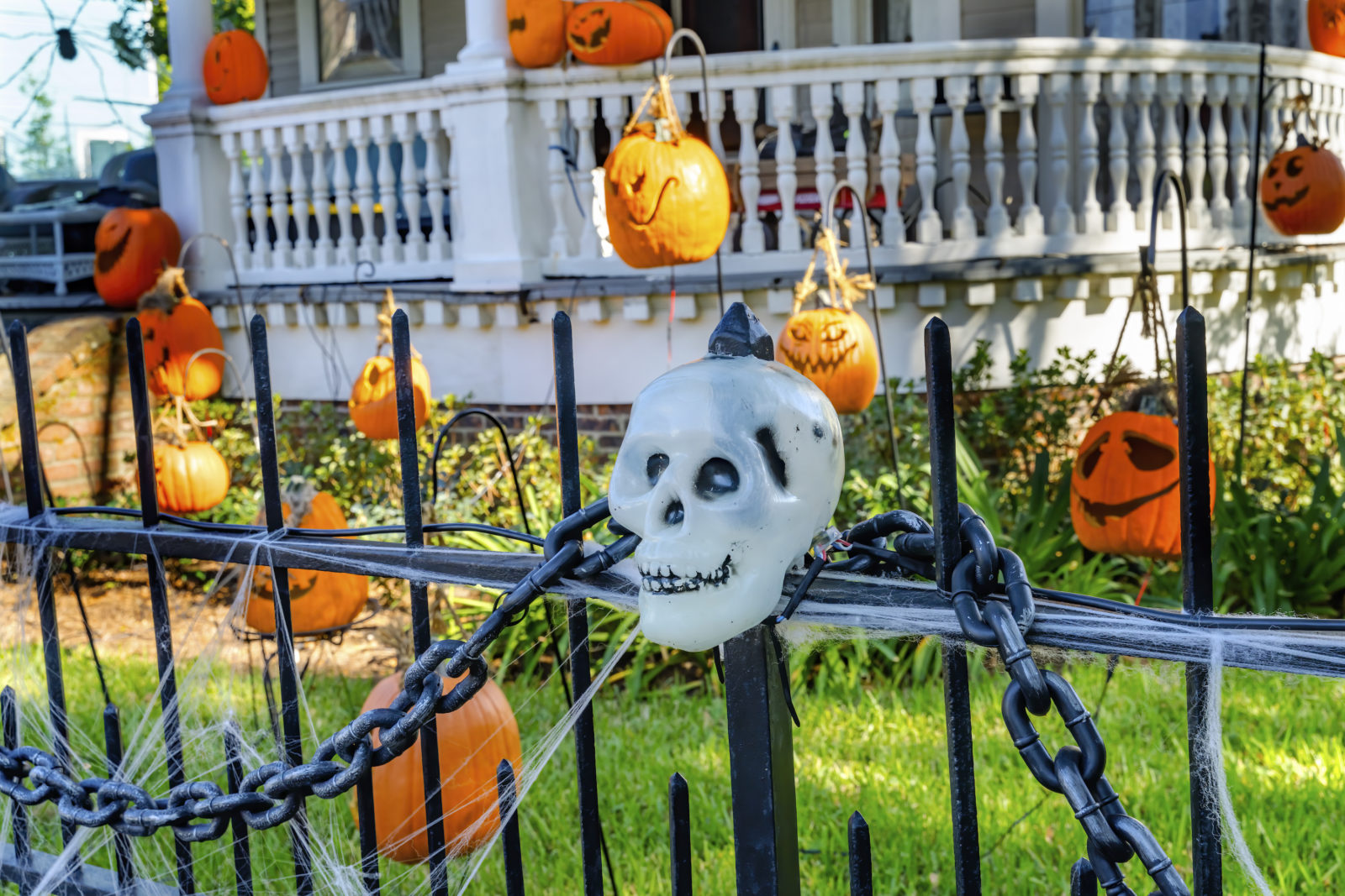 Fun & Spooky Things to Do for Halloween in New Orleans | NOLA Activities