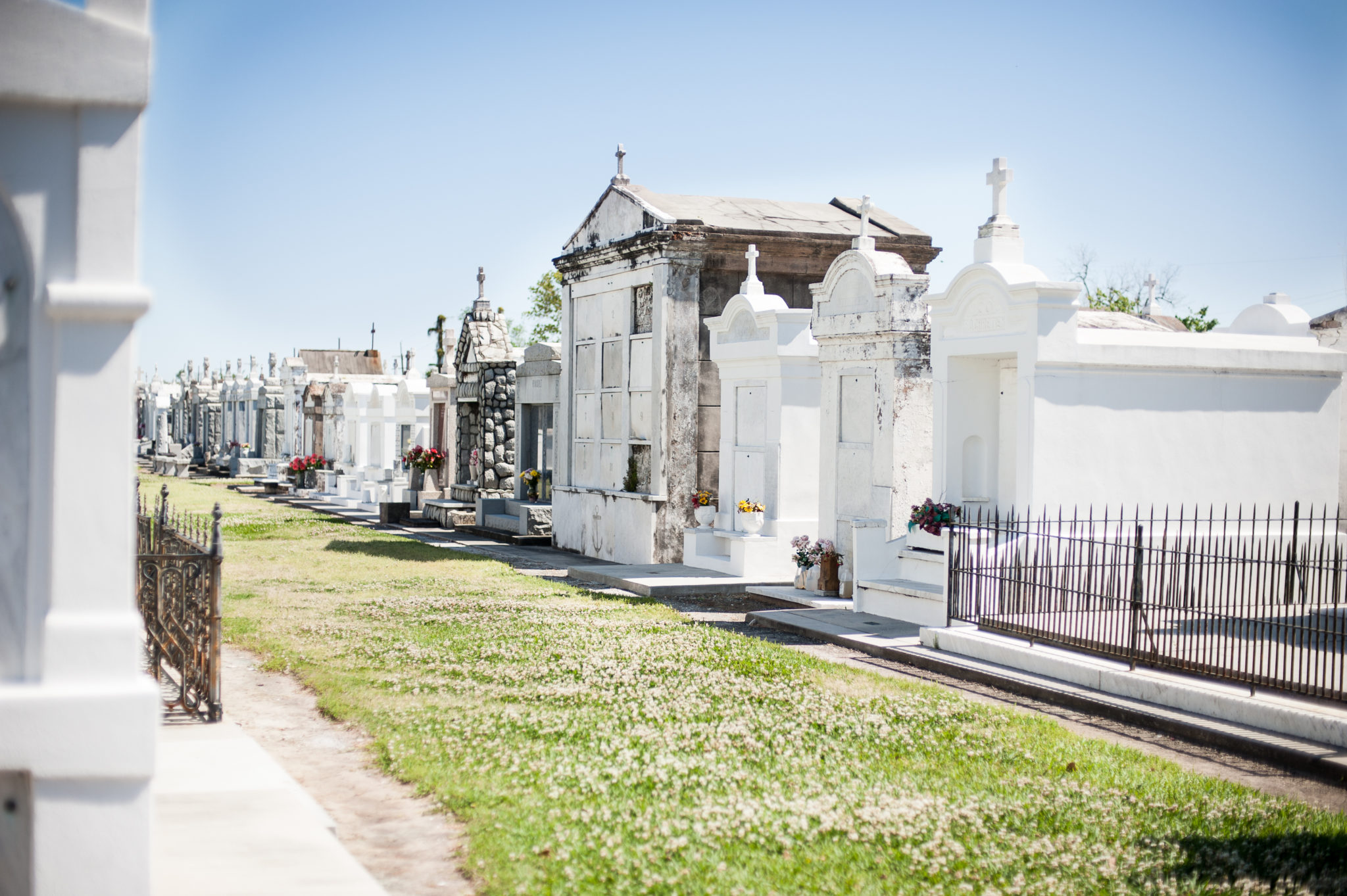 Explore the Top 10 Points of Interest in New Orleans NOLA Activities