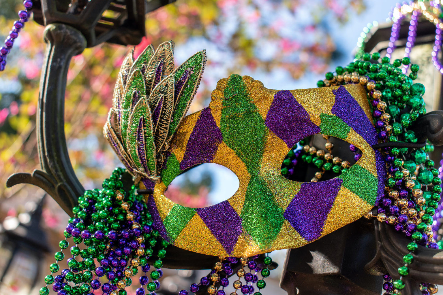 Notable New Orleans Mardi Gras Krewes | New Orleans Activities