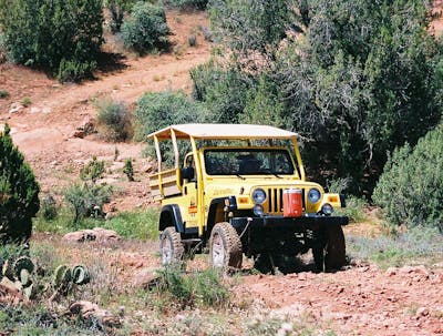 yellow jeep in wilderness