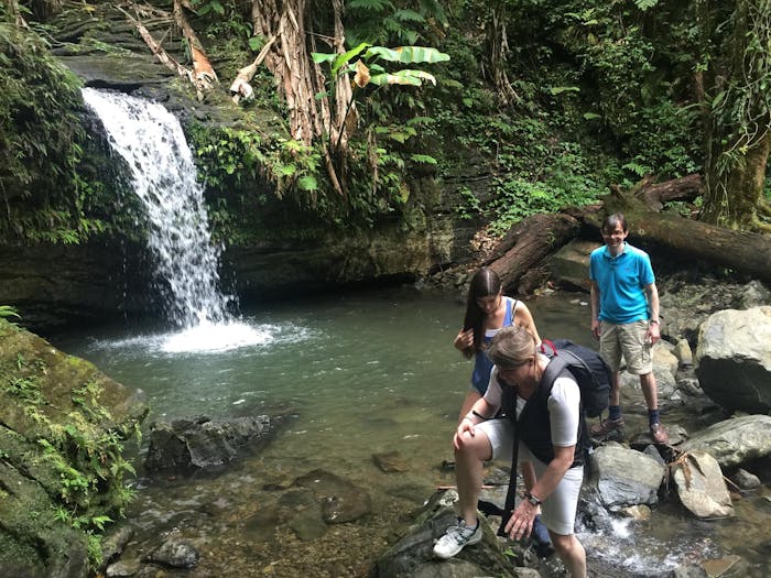 Private El Yunque Rainforest Tour | Bespoke Lifestyle Management