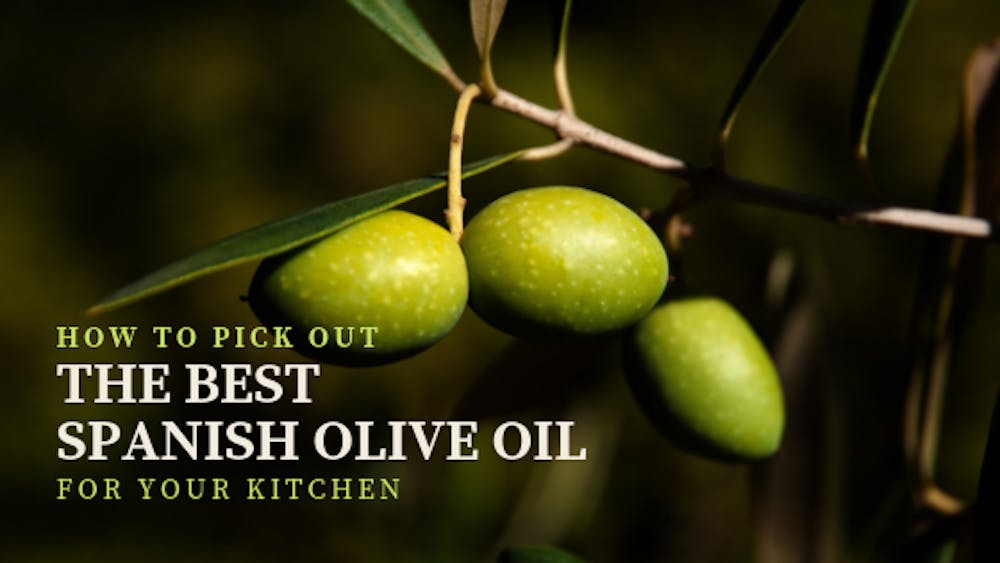 how-to-pick-out-the-best-spanish-olive-oil-for-your-kitchen