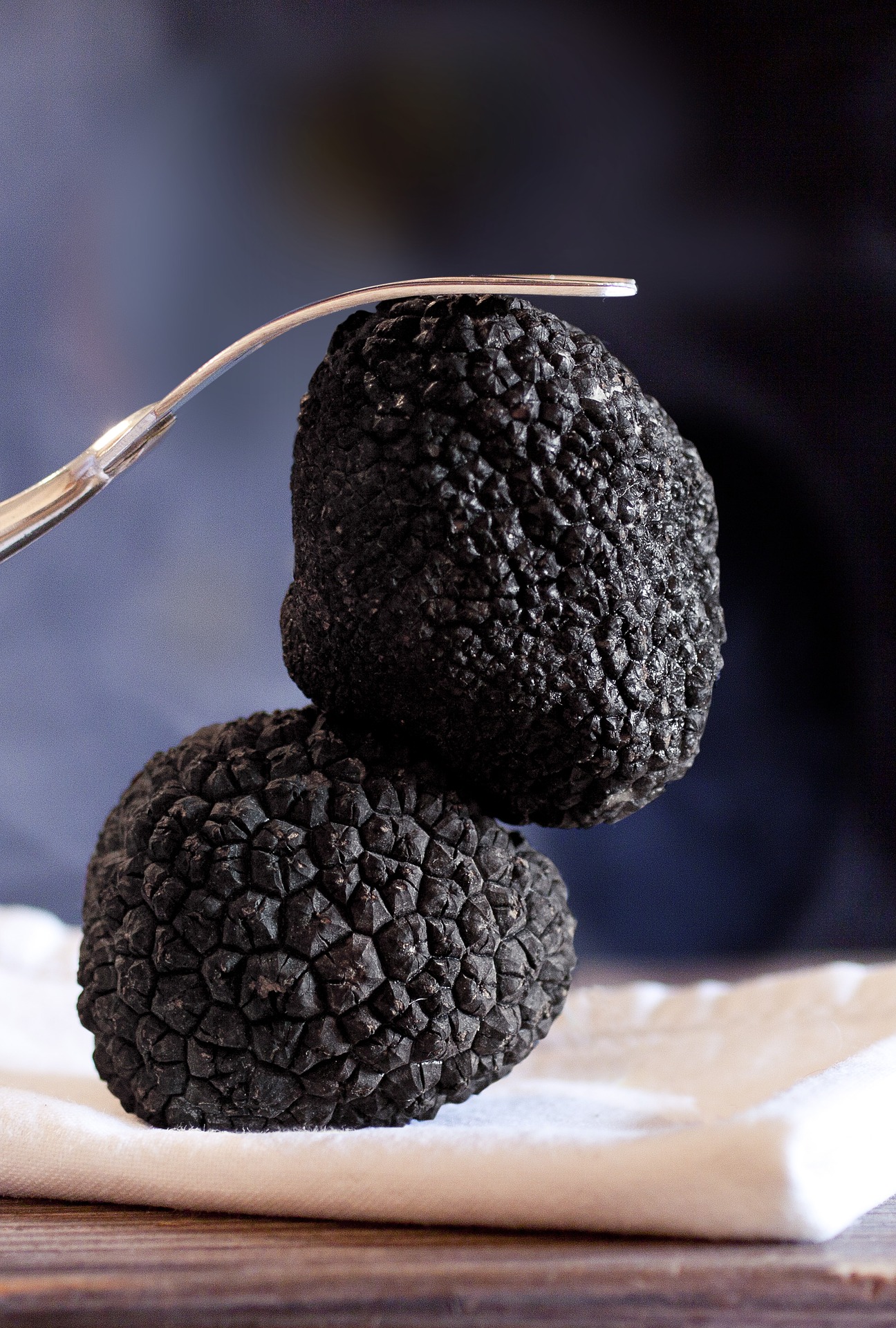 Black truffles are expensive but worth every bite!