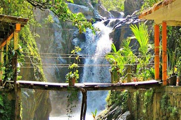 view of walking bridge and tropical waterfall