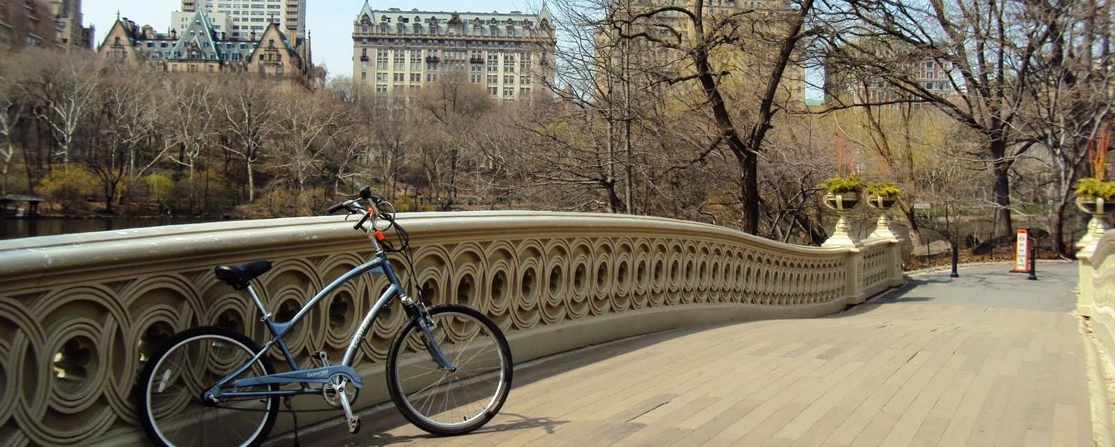 Bike rental sales near central park