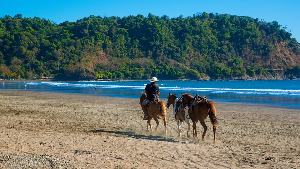 A Visitor’s Guide To Jaco, Costa Rica  Ocean Ranch Park