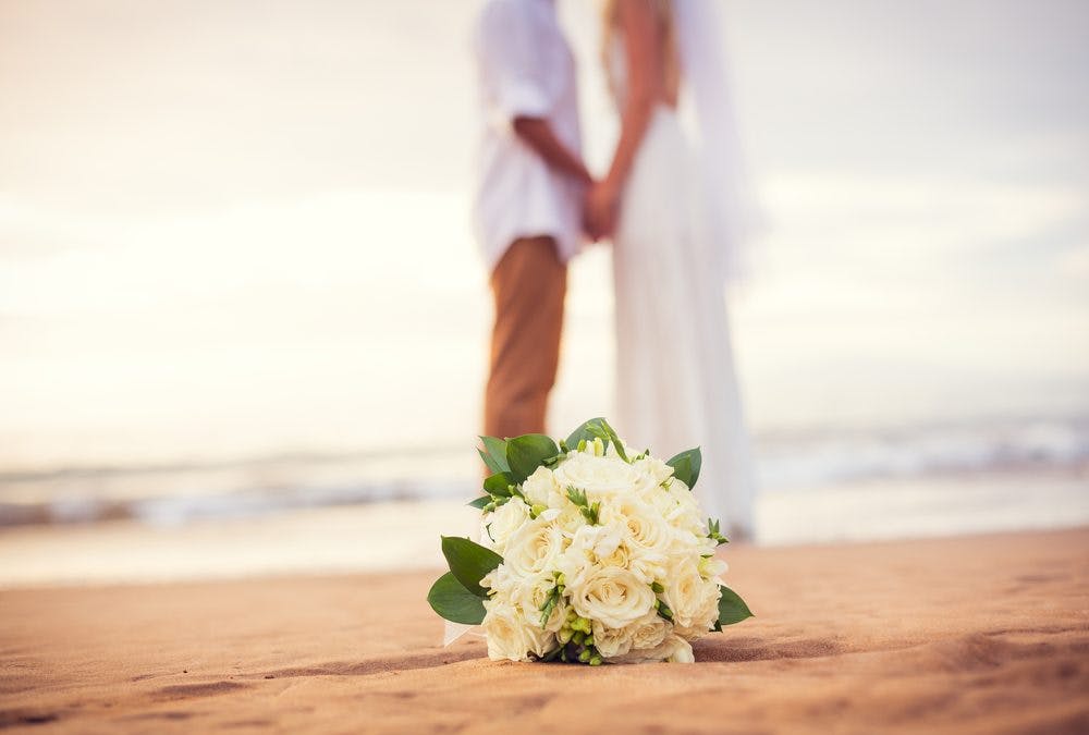 Top 7 Best Places To Get Married In Costa Rica Ocean Ranch Park