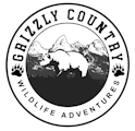 Grizzly Country Wildlife Adventures