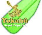 Yokahú Kayak Trips