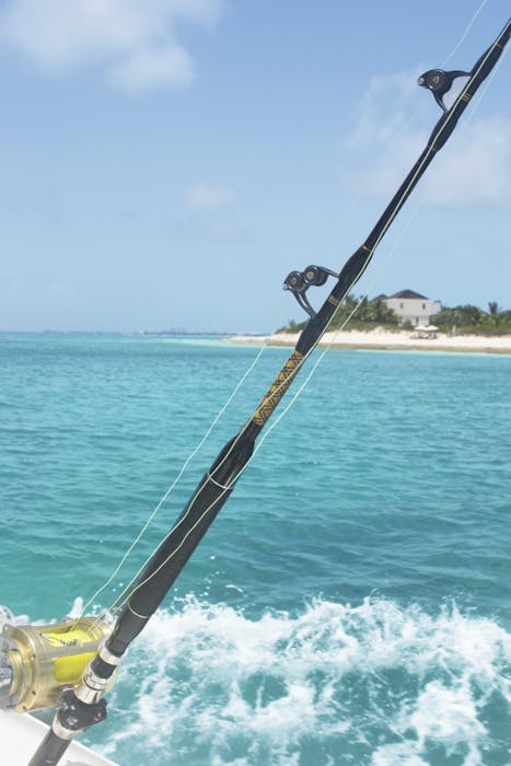 What to Expect During Your Fishing Charter