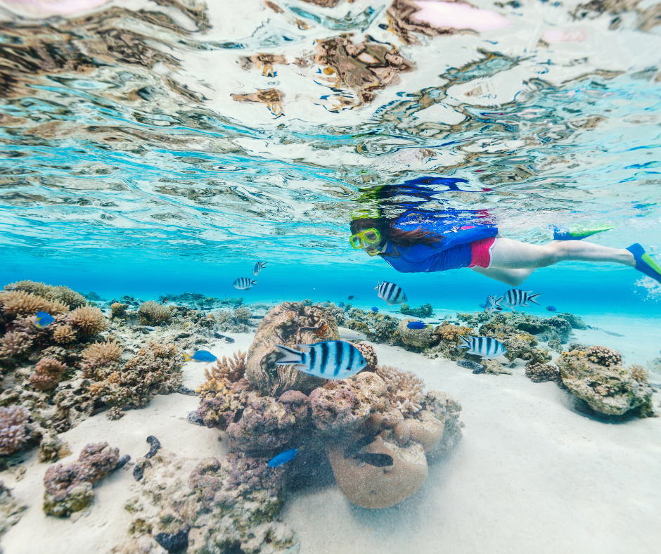 Best Snorkeling Spots In Turks And Caicos | Grand Slam Fishing Charters