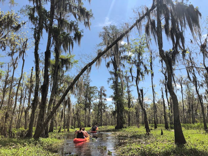 New Orleans Swamp & Plantation Tour | Crescent City Kayak