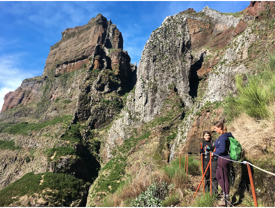 The 4 Best Hikes in Madeira | Hit The Road Tours Madeira