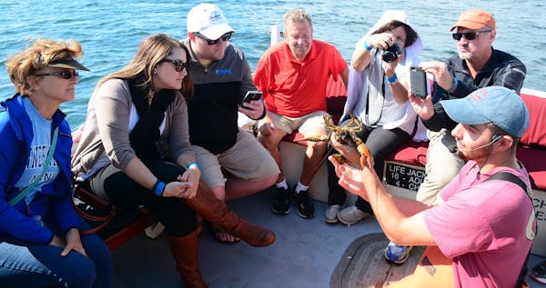 Rugosa Lobster Tours (Kennebunkport) - Lohnt es sich? Aktuell für