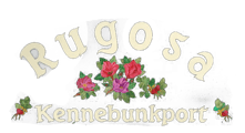 Rugosa Lobster Tours