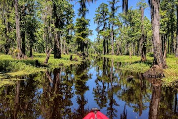 red kayak in a new orleans swamp
