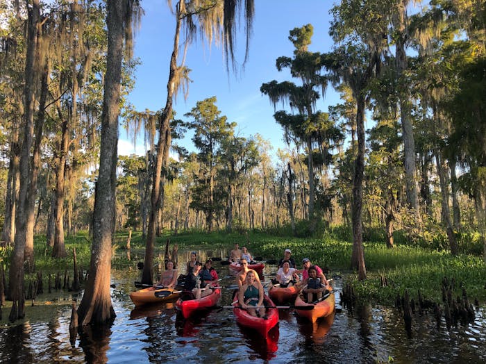 New Orleans Travel Guide  New Orleans Tourism - KAYAK