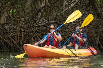 tandem kayakers with mangroves behind