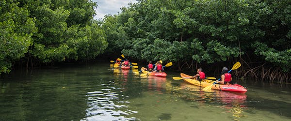 Kayakers going through a tunnel-like part of the river through trees
