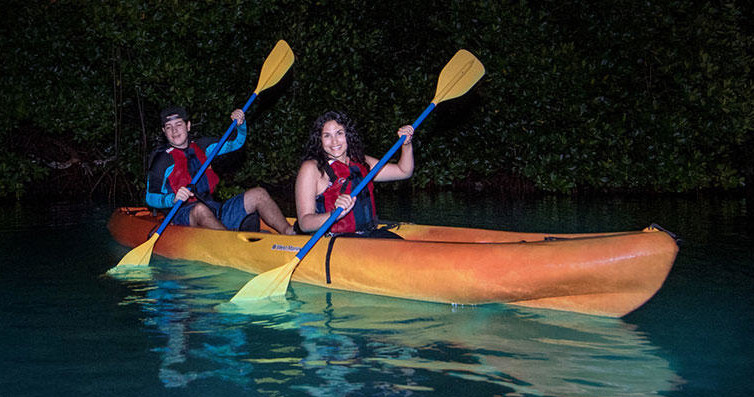 Kayak Bioluminescent Bay Fajardo Puerto Rico Eco Adventures