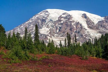 a view of Mount Rainier during late season