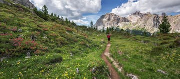 a hiker in a wildflower meadow beneath craggy mountains on a guided hiking tour