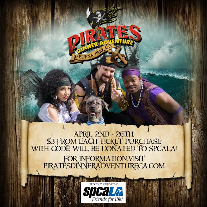 Pirates Ticket Information
