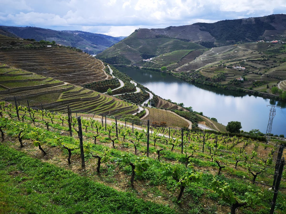 Douro Valley Tours Sightseeing