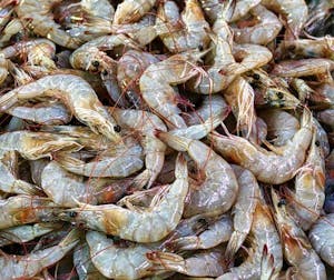 a pile of shrimps