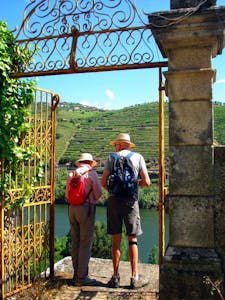Best time to visit Douro Valley