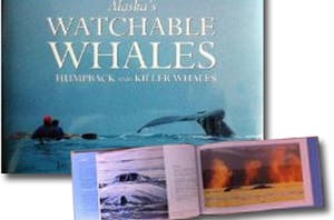 Whale book
