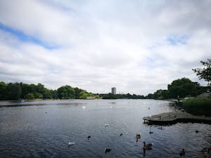 lago di Hyde Park