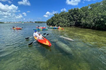 a group of people kayaking in key west