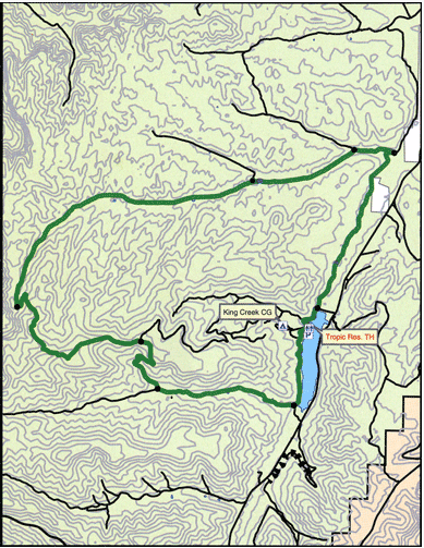 badger flats vicinity ohv trails tarryall reservoir